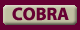 Cobra FAQs